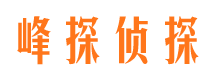 临城市场调查